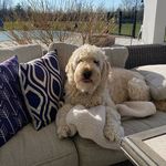 Matthew Bollman - @matt22buffalo - Instagram