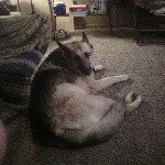 Matthew Bollman - @mywingman2 - Instagram