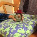 Matthew - @matthewthe_bopper - Instagram