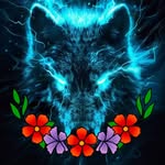 Matthew Bottcher - @bottchermatthew - Instagram