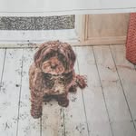 Matthew Bottomley - @botto_matt - Instagram