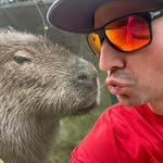 Matthew Bourque - @matthewsbourque - Instagram