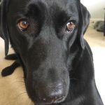 Matthew Brainard - @matthew_brainard01 - Instagram