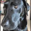 Matthew Brainard - @matt.b.6 - TikTok