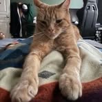Matthew Brainard - Facebook