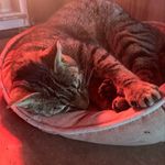 Matthew Brandner - @matthewbrandner - Instagram