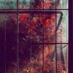 Matthew Brandner - @hanspeterwoerner601 - Instagram