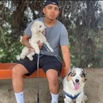 Matthew(🐶🪽❤️) - @brazy.matthew - Instagram