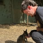 Matthew Breen - @matthew___breen - Instagram