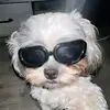 MatthewB - @matthewsbreen - TikTok