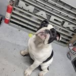Matthew Breisch - @breischstruckservice - Instagram