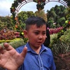 Matthew Brey Tendean - @2184675521 - TikTok