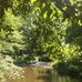 Matthew Bringhurst - Facebook