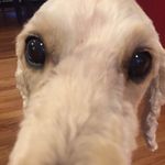 Matthew Broder - @matthewjbroder - Instagram