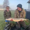 Matt Broomhall - @mattbroomhall - TikTok