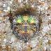 Mathew L. Brust - Facebook