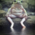 Matthew Graham Bubb - @bubbobill - Instagram