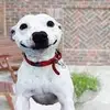 Matthew Buonopane - @matthew_buonopane - TikTok