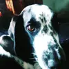 matthewburke102 - @matthewburke102 - TikTok