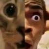 matthewcadena0 - @matthewcadena0 - TikTok