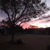 Matthew Cadman  - @uncle.cadman.x - TikTok