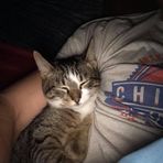 Matt Cahoon - Facebook