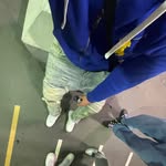 Matthew Caines - @matthew_09_14 - Instagram