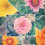 Matthew Caines - @roachbobbyi - Instagram