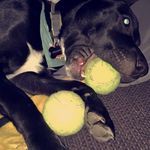 Matthew Caley - @matthew._.caley - Instagram