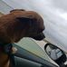 Matthew Carlsen - Facebook