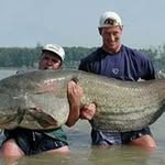 Matthew Carlsen - @matthew.carlsen.3 - Instagram