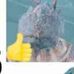 Matthew Carrozza - Facebook