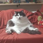 Matthew Carty - @matthewcarty244 - Instagram