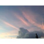 Matthew Carty - @ourpetsheadsarefallingoff - Instagram