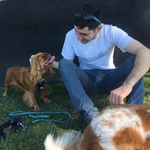 matthew cassar - @matt_casser - Instagram
