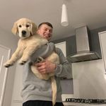 Gosin - @matthew_cassin - Instagram