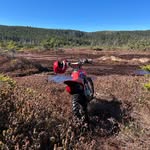Matthew caul - @matthew_caul23 - Instagram