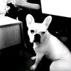 matthewcaule27 - @matthewcaule27 - TikTok