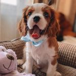 Кавалер в Челябинске - @cavalier_matthew - Instagram