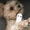Matthew_flipz - @matthew_c.1 - TikTok