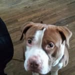 Matthew Chapel - @matthew.chapel - Instagram