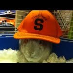 @matthew_chapell3 - Instagram