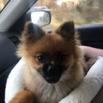 Tyler Matthew Chatman - @luxling1 - Instagram