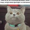 Матвей Черкасов - @matthew_cherkasov - TikTok