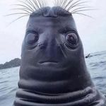 Matthew Chiasson - @chiaasson - Instagram