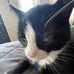 Matthew Chorney - Facebook