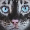 Matthew Chua - @matthewchua57 - TikTok