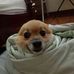 Matthew Chua - Facebook