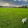 Matthew Chua - @matthew.chua - TikTok