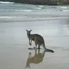 Matthew - @matthew.clarkin - TikTok
